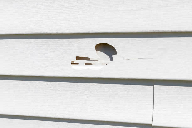 Best Siding for Multi-Family Homes  in Iola, WI