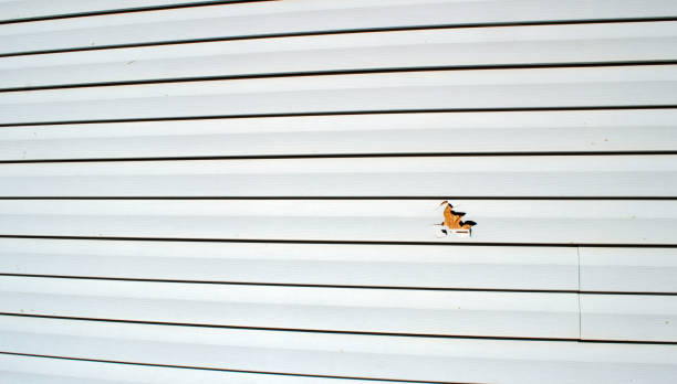 Iola, WI Siding Installation & Repair Company