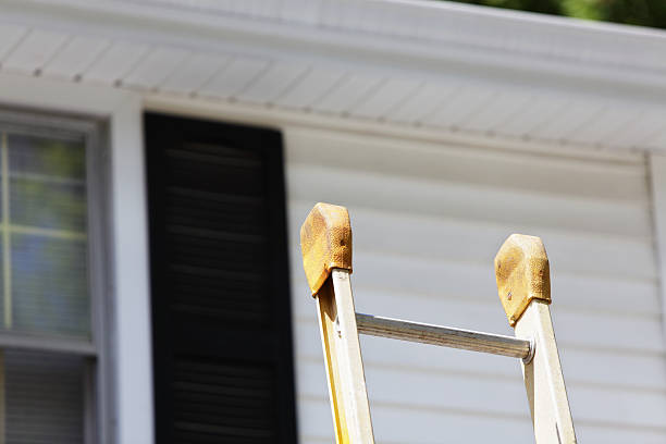 Best Insulated Siding Installation  in Iola, WI