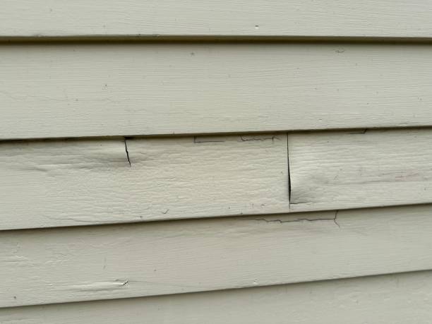 Best Siding for Commercial Buildings  in Iola, WI